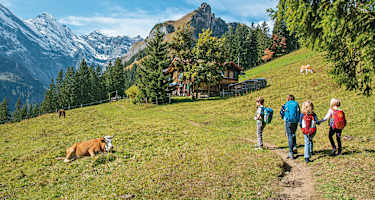 Begegnungen am Wegesrand zwischen Mürren und Spielboden.