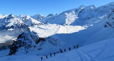 Skitour zum Alpelenhörnli