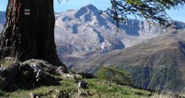 Ein wunderschönes Panorama erfreut jedes Biker-Herz.