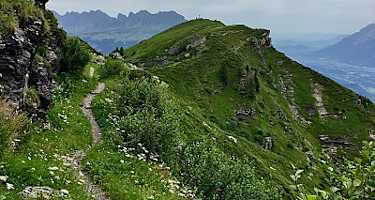 Singletrail vom Feinsten