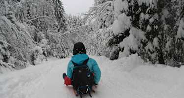 Rodelspaß von der Allrissalm