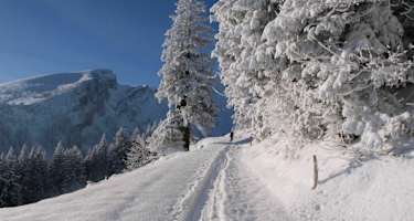 Prächtiger Jänner-Tag in den Appenzeller Alpen