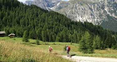 Auf dem Weg zur Trunaahütte