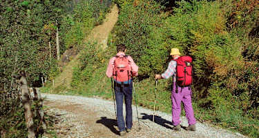 Von Rohrmoos zur Lechneralm. Im Hintergrund die Schönfeldspitze.
