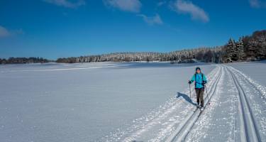 Auf der südlichen Raichbergloipe ist es meistens ziemlich einsam