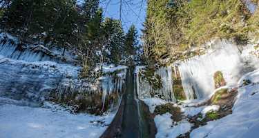 Der Sankenbachwasserfall im Winter