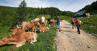 Berghütte Koča na Loki (unter Mt. Raduha)