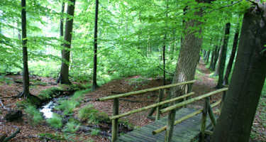 Wandern auf dem schönen Bergmannsweg