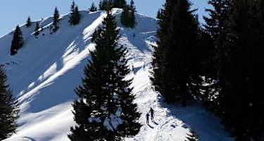 Skitour auf den Sonnenkopf bei Sonthofen