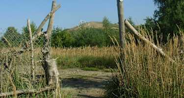 Berlin Blankenfeld Landschaftsschutzgebiet Arkenberge