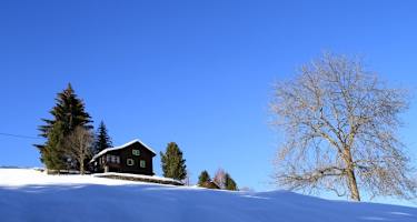 Winteridylle bei der Schneeschuhwanderung in Bleusy