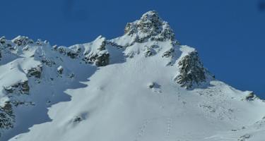 Blickfang Weißeneck