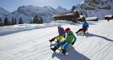 Schlittelspass für die ganze Familie am Bob Run