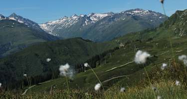 Schönes Bergpanorama am Bostg