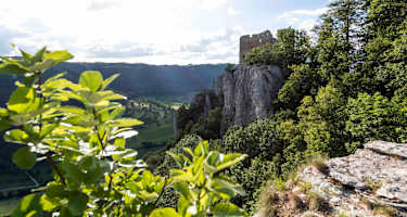 Blick auf die Burgruine Reussenstein