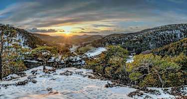 Sonnenuntergangsstimmung am Busenberger Holzschuhpfad