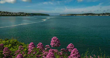 Wunderschöner Blick auf die Bucht von Padstow.