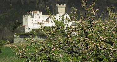 Die Churburg bei Schluderns