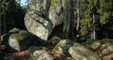 Goldsteig - Südvariante - Etappe 16: Von St. Englmar nach Grandsberg