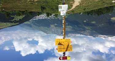 Trail Richtung Äbirügg