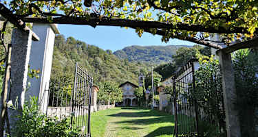 Die Kastanienwälder oberhalb von Bellinzona
