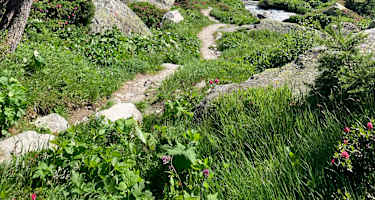 Wandertipp: Dorfertal nationalpark Hohe Tauern