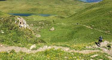 Singletrail zum Grüensee