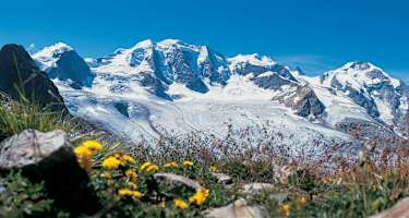 Die weissen Riesen des Engadins
