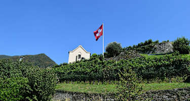 Die Weinberge des Mendrisiotto