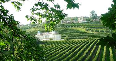 Durch die Weinberge des Mendrisiotto