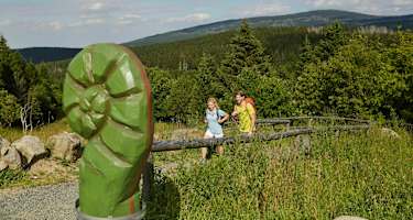 Brockenblick vom Torfhaus.