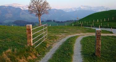 Auf der Risisegg oberhalb Escholzmatt