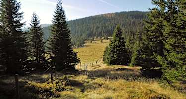 Blick auf den Wildbachsattel