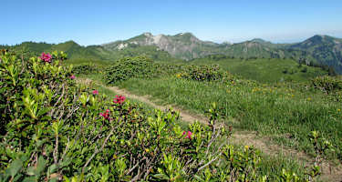 Eine einfache Etappe von Damüls nach Freschen