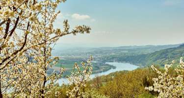 Ausblick von Klostergarten in Maria Taferl auf Donau und Nibelungengau