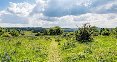 Frühlingslandschaft am Dreiländereck 