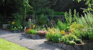 Kräutergarten in Klaffer