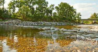Bademöglichkeit bei Erlauf