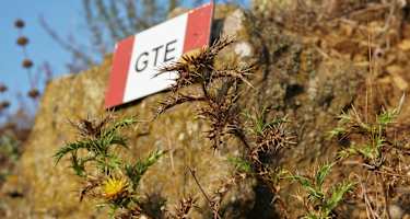 Die Grande Traversata Elbana zeigt sich zumeist gut markiert.