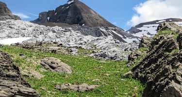 Engelberger Rotstock