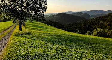 Gemütliche Abschnitt auf Etappe 12 in Richtung Neumarkt