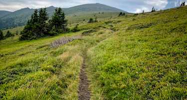 Auf dem Weg zur Pack