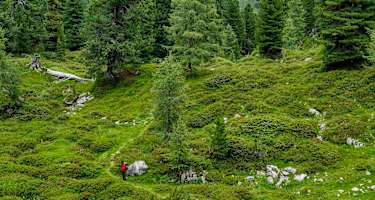 Auf dem Weg zum Stoderzinken wandert man durch abwechslungsreiches Gelände.