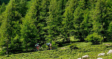 In den Fischbacher Alpen finden auch Mountainbiker schöne Routen.