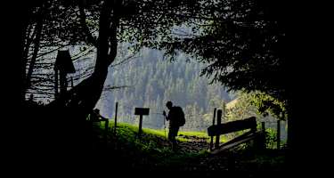 Unterwegs im Naturpark Almenland