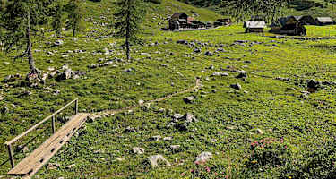 Über Almgelände geht es abwärts nach Wörschach