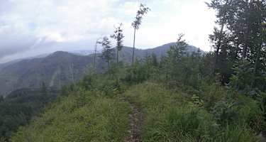 Berglaufen am Feuerkogel