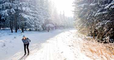 Langlaufen im Thüringer Wald