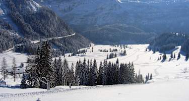 Blick von der Gnadenalm auf das letzte Stück der Route
