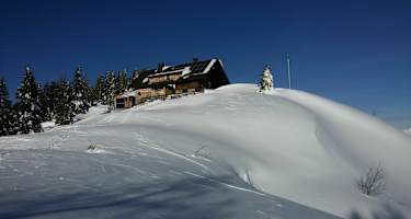 Die Goiserer Hütte lädt zur Einkehr ein